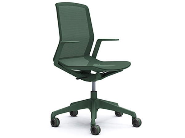 cynara-verde cynara-verde