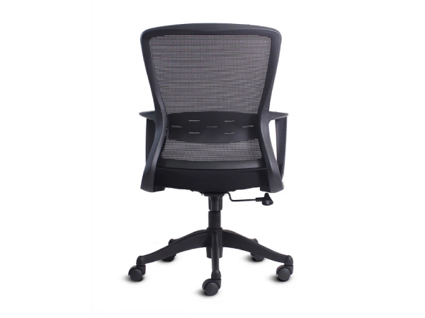 imagen_2025-08-29_115936069 imagen_2025-08-29_115936069